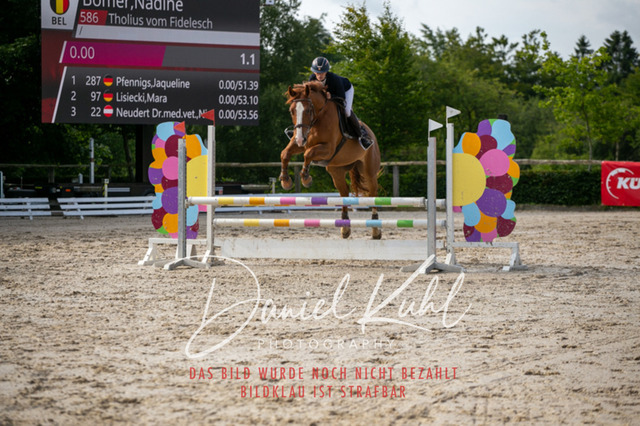 IMG_5298 | Turniersportfotografie; Pferdefotografie; Dressurfotografie