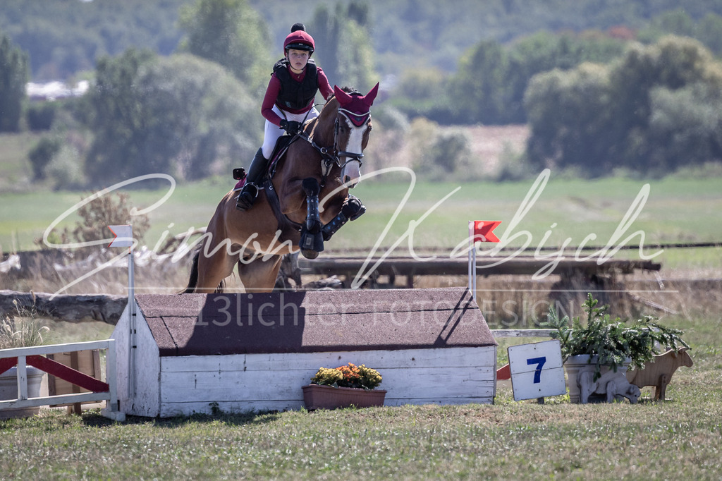 20260906-_3LI3898 | Tierfotografie Pferde, Hunde, Katzen, Haustiere.
Turnierfotografie Reitturniere, Reiten, Springreiten, Dressur in Hanau, dem Main-Kinzig-Kreis und dem Rhein-Main- Gebiet um Frankfurt