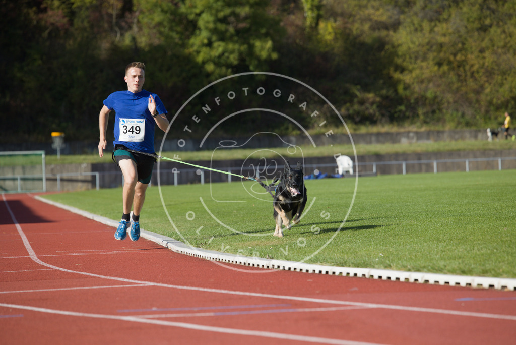 0L8A9489 | Hundefotografie, Tierfotograf, Pfotenfotografie, Fotoshooting Hund, Hunde Portrait, Hundesport, Hundeportraits, Heideshooting, Hunde, Sportfotograf, Hundefotograf, Turnierhundsport, THS,  - Realisiert mit Pictrs.com