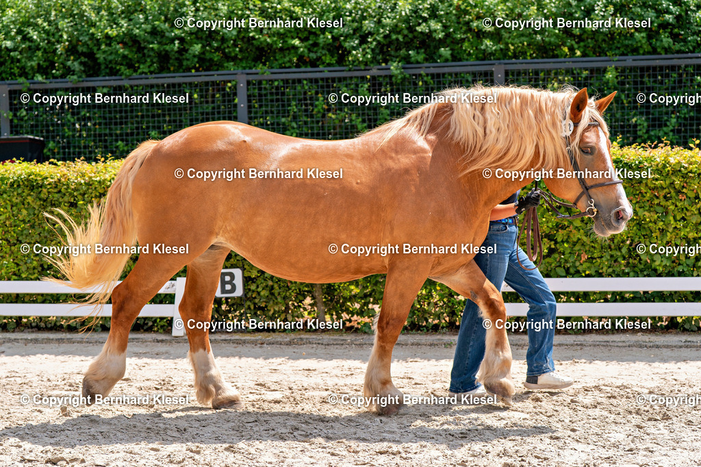 2A901350 | foto-team-bernhard - Realisiert mit Pictrs.com