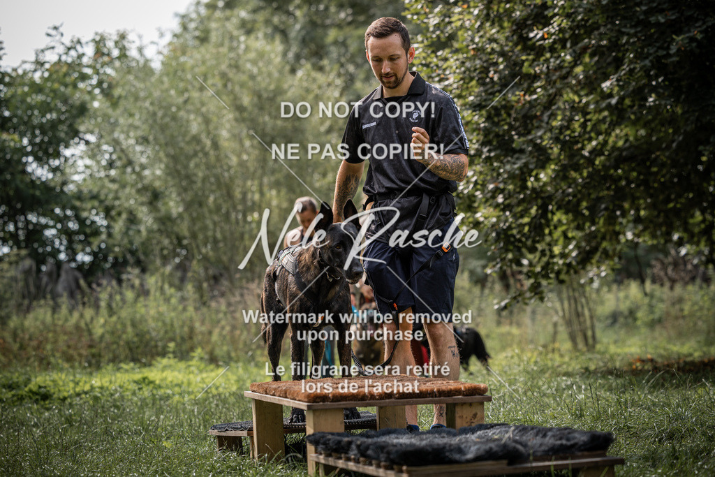 nelerasche_SoLauf_229 | nelerasche