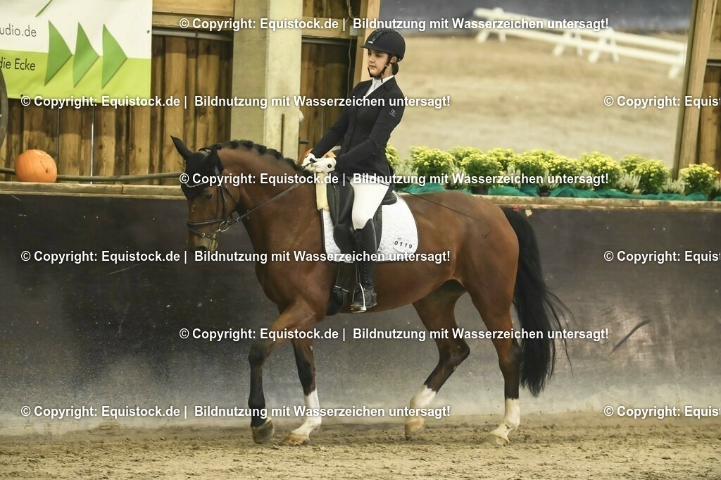 20231029_04_Dressur-WB_0144 | Foto: Thomas Hartig