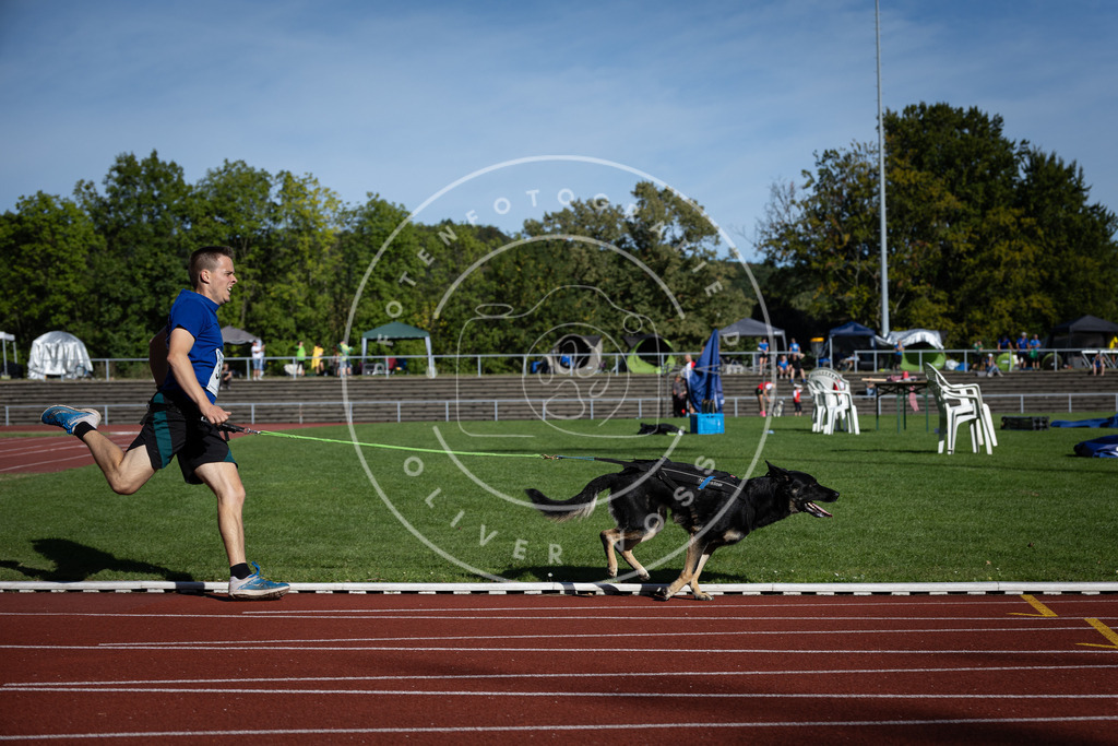 Pfotenfotografie_DV3A9184 | Hundefotografie, Tierfotograf, Pfotenfotografie, Fotoshooting Hund, Hunde Portrait, Hundesport, Hundeportraits, Heideshooting, Hunde, Sportfotograf, Hundefotograf, Turnierhundsport, THS,  - Realisiert mit Pictrs.com