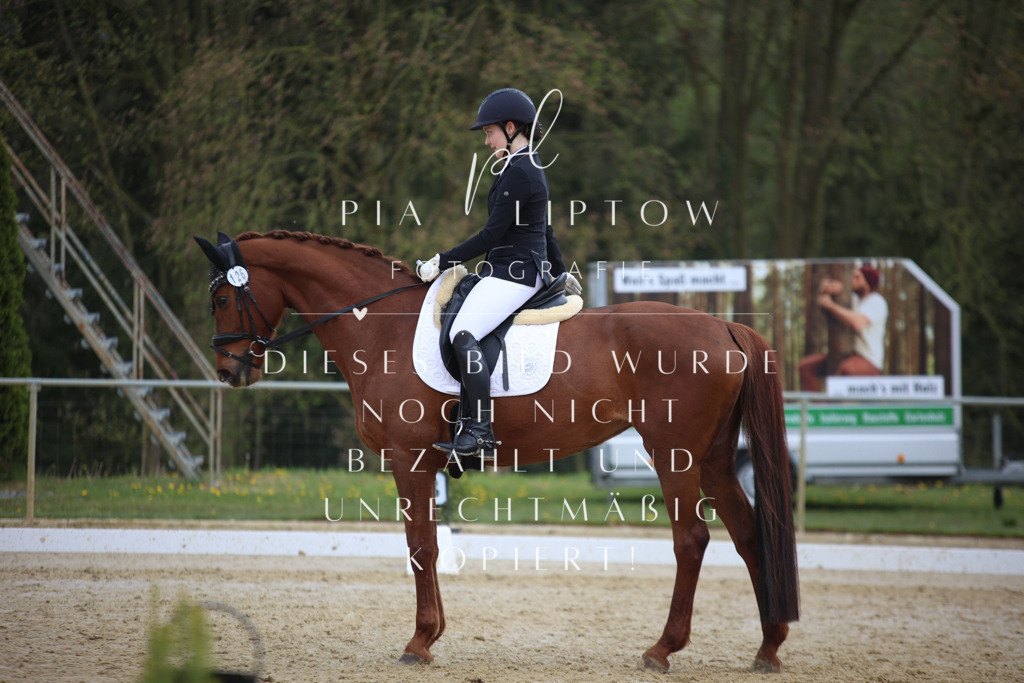 IMGT6624 | pl-fotografie