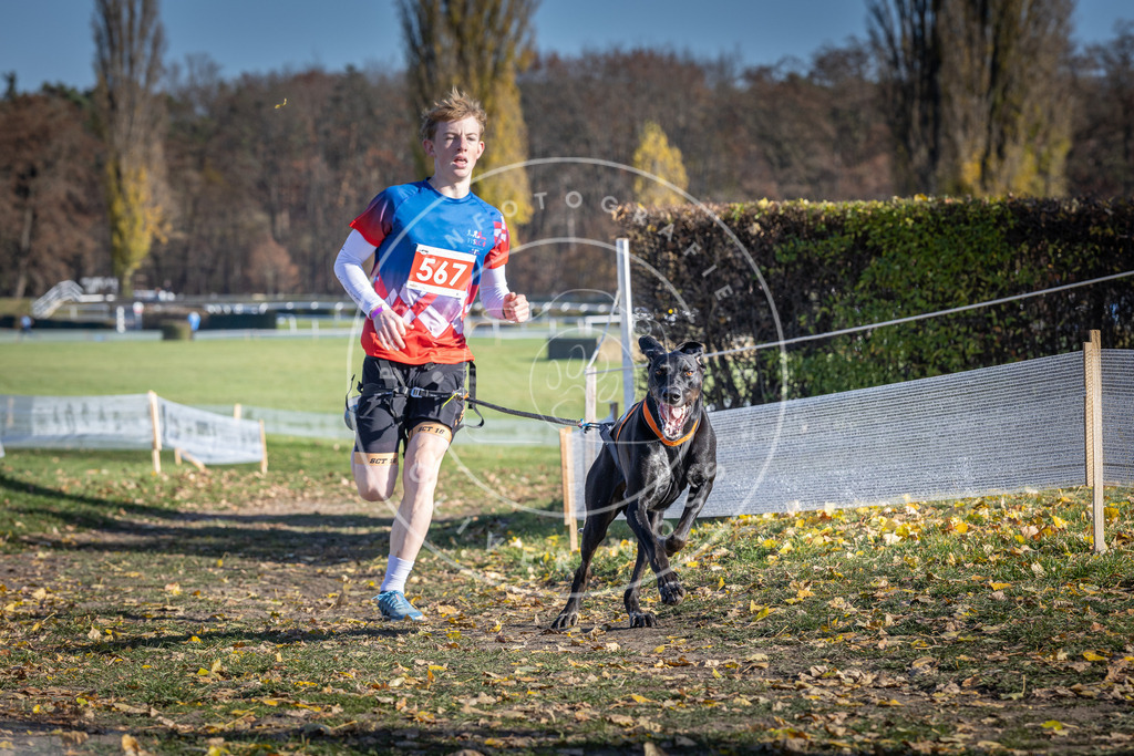CaniXpix_DV3A8803 | Hundefotografie, Tierfotograf, Pfotenfotografie, Fotoshooting Hund, Hunde Portrait, Hundesport, Hundeportraits, Heideshooting, Hunde, Sportfotograf, Hundefotograf, Turnierhundsport, THS,  - Realisiert mit Pictrs.com