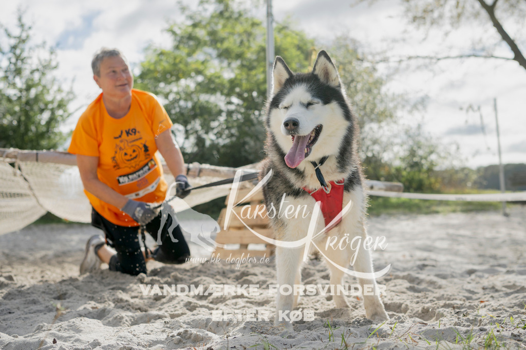 1328_ZZ97197 | kk-dogfotos