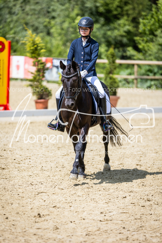 Donop24-EDre-037 | MomenTaufnahmen Pferdesportfotos