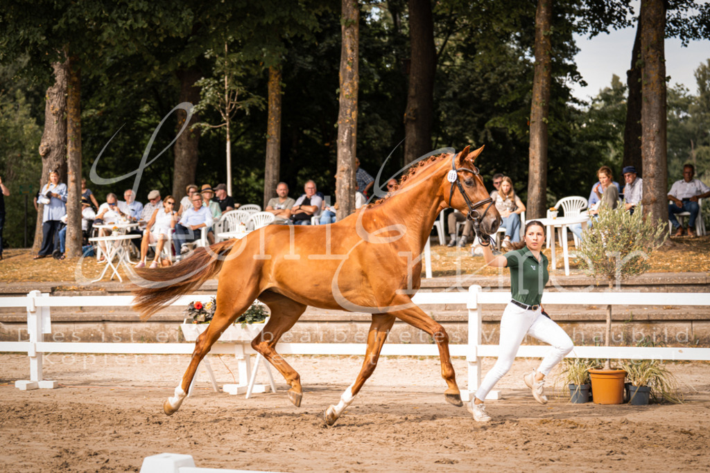 7.Fr00053 | Leoni Ertmer Photography - Realisiert mit Pictrs.com