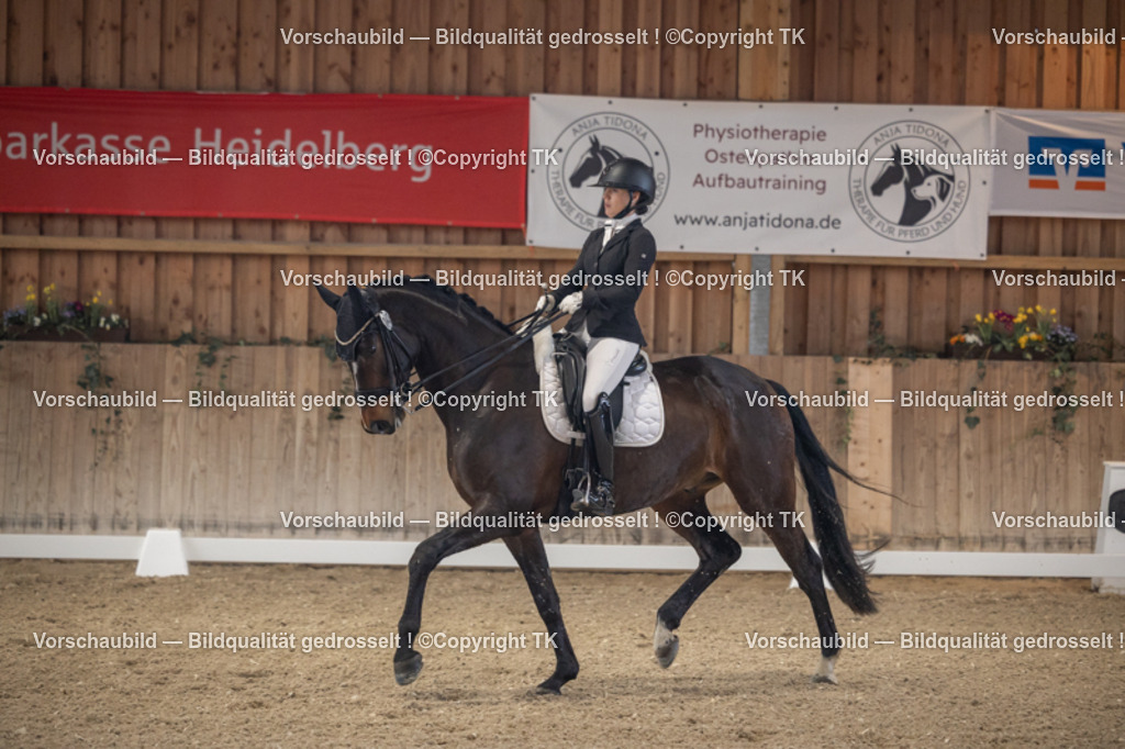 _D5A5851 | Emotionale Pferde- & People-Fotografie rund um Heidelberg, Leimen & Umgebung. Natürliche Fotos von Pferd, Mensch & Familie. Jetzt Termin sichern!