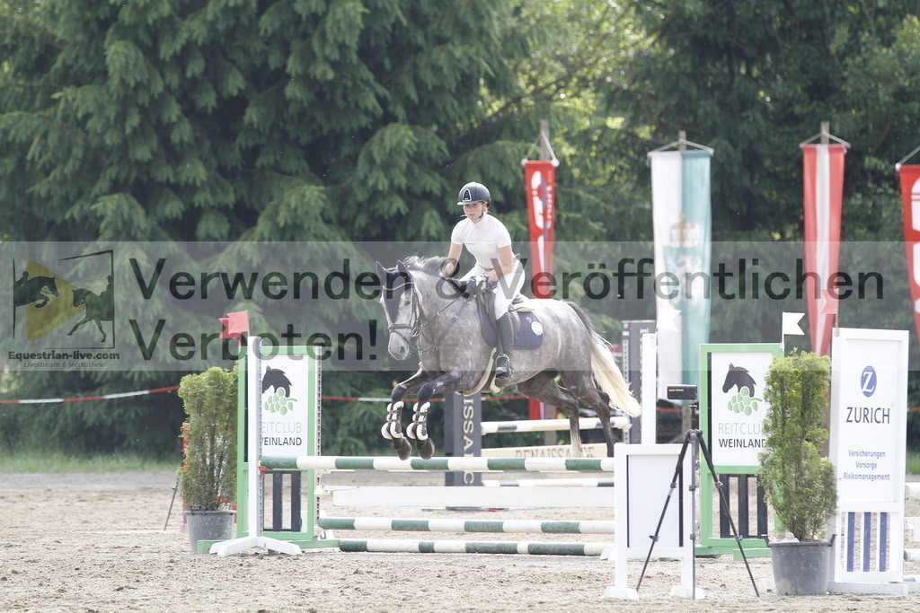 _MG_1118 | equestrian-live-com