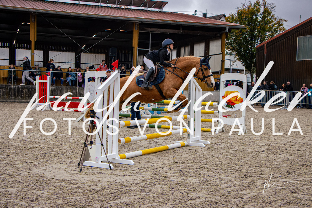 IMG_3630 | Erleben Sie dynamische Sport- und emotionale Tierfotografie in Süddeutschland mit Fotos von Paula. Spezialisiert auf Pferde- und Hundefotografie sowie Sportevents. Kontaktieren Sie mich für einzigartige und ausdrucksstarke Bilder Ihrer besonderen Momente. - Realisiert mit Pictrs.com