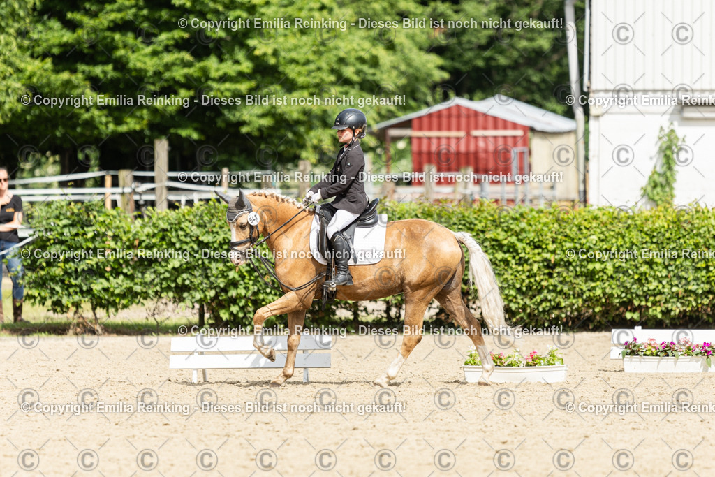 CL5A1504 | Emilia Reinking Fotografie - Realisiert mit Pictrs.com