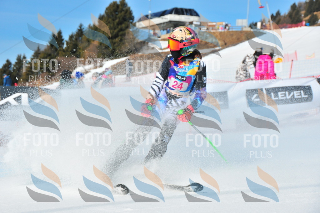 DSC_3879 | holidayphoto