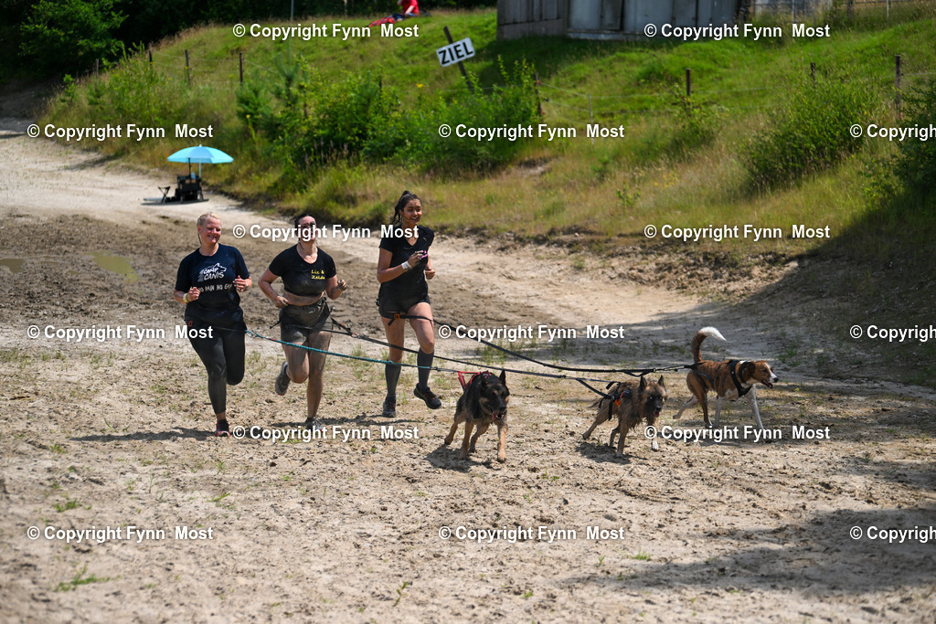 DSC_3656 | Hallo und herzlich Willkommen auf meiner Shop-Seite Fynn Most.

Ich wünsche Dir viel Spaß beim stöbern durch die Bilder, wenn Du Fragen hast oder Bilder vermisst, kannst du mir gerne eine Nachricht schreiben. - Realisiert mit Pictrs.com