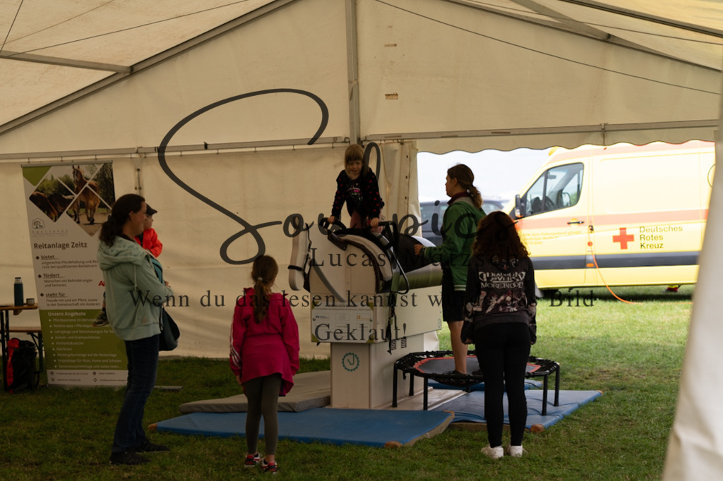 A7V05841 | Pferdefotograf