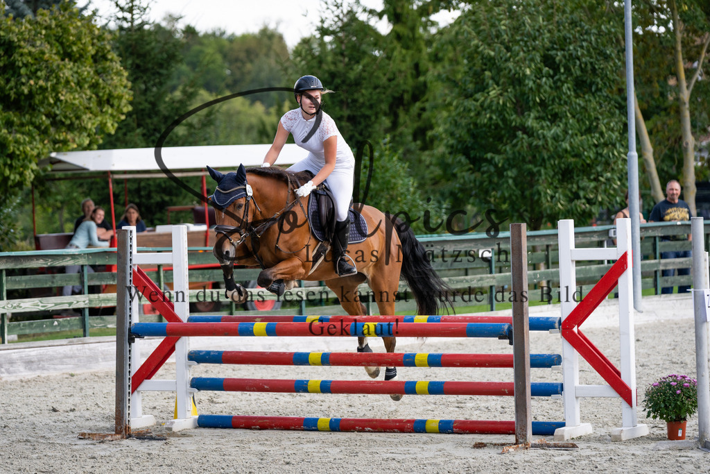 A7V07647 | Pferdefotograf