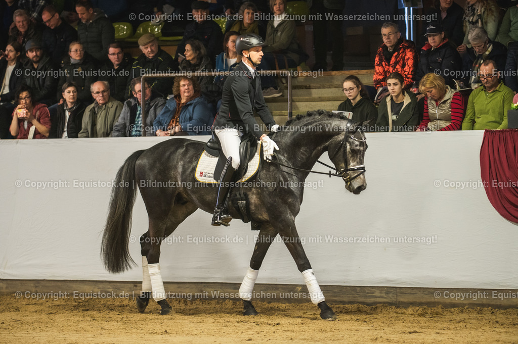 20240302_Hengstvorstellung_Marbach_TOMsPiC_0201-2 | equistock