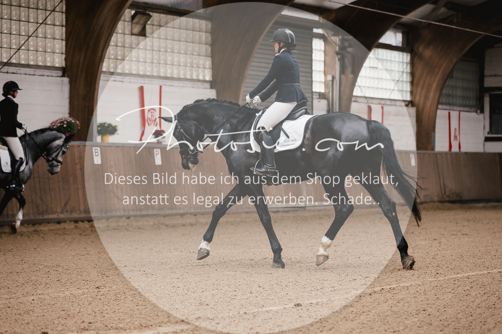 3I6A7065 | Stimmungsvolle Portraits und Reitsportfotografie im Ruhrgebiet und im Münsterland.

Pferdefotografie, Hundefotografie, Tierfotografie, Reportagen, Portraits von Tier und Mensch, Turnierfotografie in Bochum, Recklinghausen, Marl, Haltern am See, Dülmen.. - Realisiert mit Pictrs.com