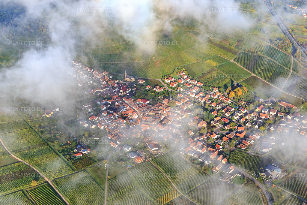 Luftbild: Winzerdorfansicht unter Wolken aus Südosten in Birkweiler im Bundesland Rheinland-Pfalz in Deutschland. Foto: IMG_103748.jpg vom 01.10.2017 durch Werner Riehm/FLY-FOTO.de