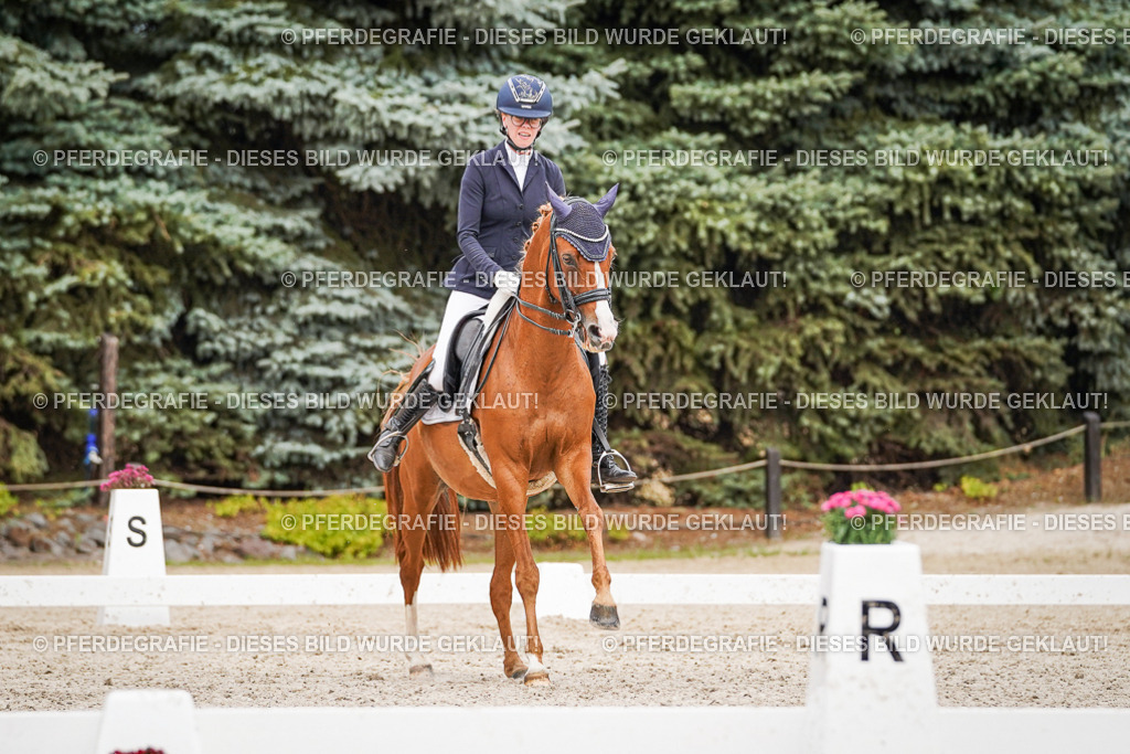 DSC07076 | Pferdegrafie