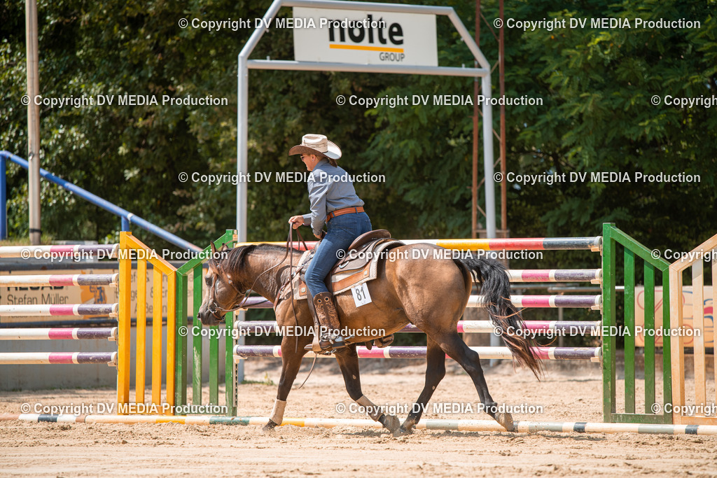 ZS2_8310 | dv-media-shop - Realisiert mit Pictrs.com