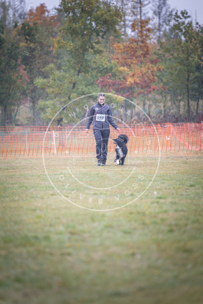 Pfotenfotografie_DV3A8732 | Hundefotografie, Tierfotograf, Pfotenfotografie, Fotoshooting Hund, Hunde Portrait, Hundesport, Hundeportraits, Heideshooting, Hunde, Sportfotograf, Hundefotograf, Turnierhundsport, THS,  - Realisiert mit Pictrs.com