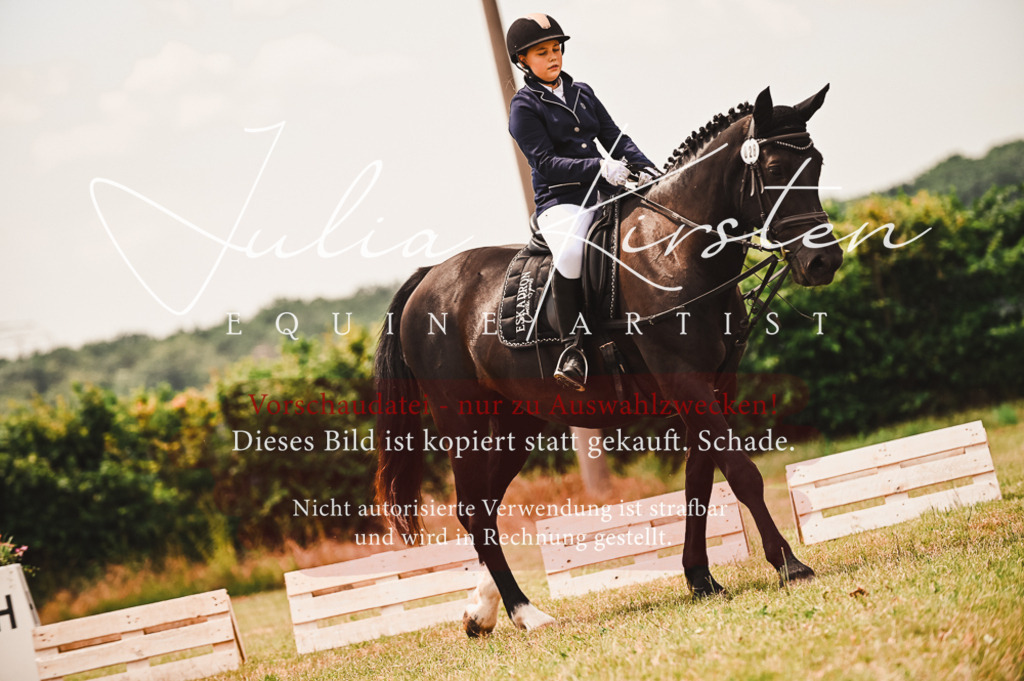 DSC_6351 | Pferde- und Turnierfotografie in Westsachsen. Pferdeportraits, Auftragszeichnungen und intuitive Kunst.