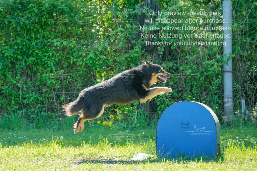 Sa_VK3_03-33 | stephaniefillaphotographie - Realisiert mit Pictrs.com