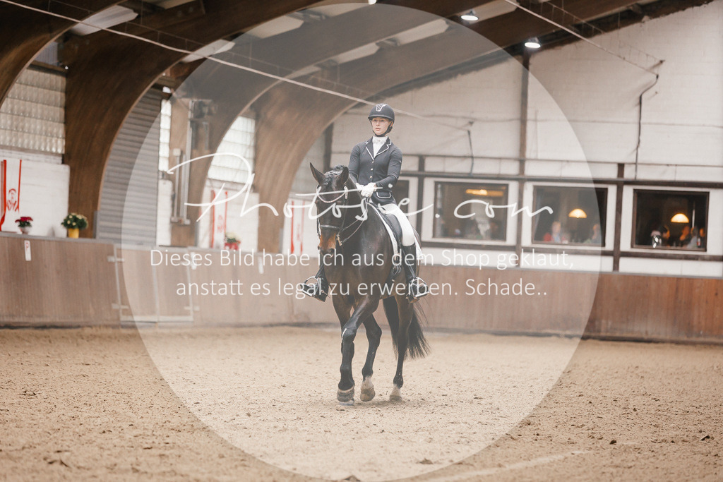 3I6A8373 | Stimmungsvolle Portraits und Reitsportfotografie im Ruhrgebiet und im Münsterland.

Pferdefotografie, Hundefotografie, Tierfotografie, Reportagen, Portraits von Tier und Mensch, Turnierfotografie in Bochum, Recklinghausen, Marl, Haltern am See, Dülmen.. - Realisiert mit Pictrs.com