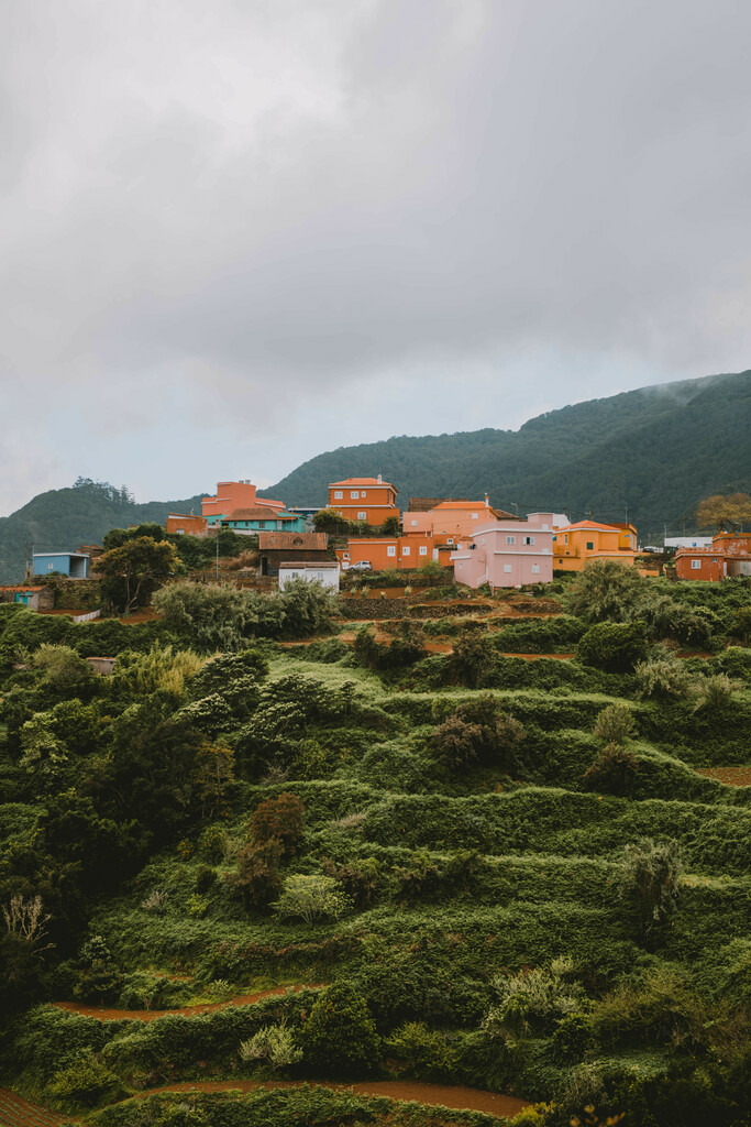 Teneriffa_by Leevke Draack_17 | Du suchst natürliche und atmosphärische Prints oder Leinwanddrucke? In diesem Shop gibt es alles, nur kein Mainstream. - Realisiert mit Pictrs.com