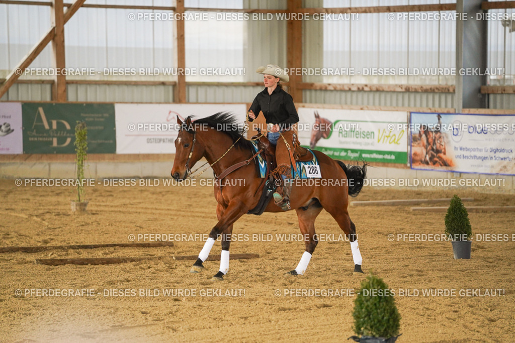 DSC04463 | Pferdegrafie