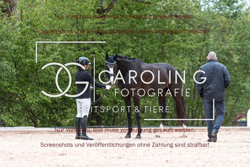 DSC_6786 | Turnierfotografin Carolin Gieschke,Reitsport Turnierfotografie Carolin G Fotografie | Turnierfotos aus Kirchheim/Teck, Esslingen, Stuttgart und dem Bodenseekreis