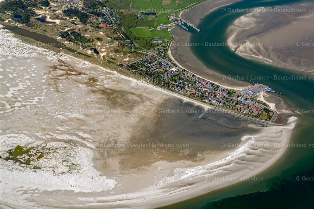 3801695 | Amrum, Nationalpark Schleswig-Holsteinisches Wattenmeer