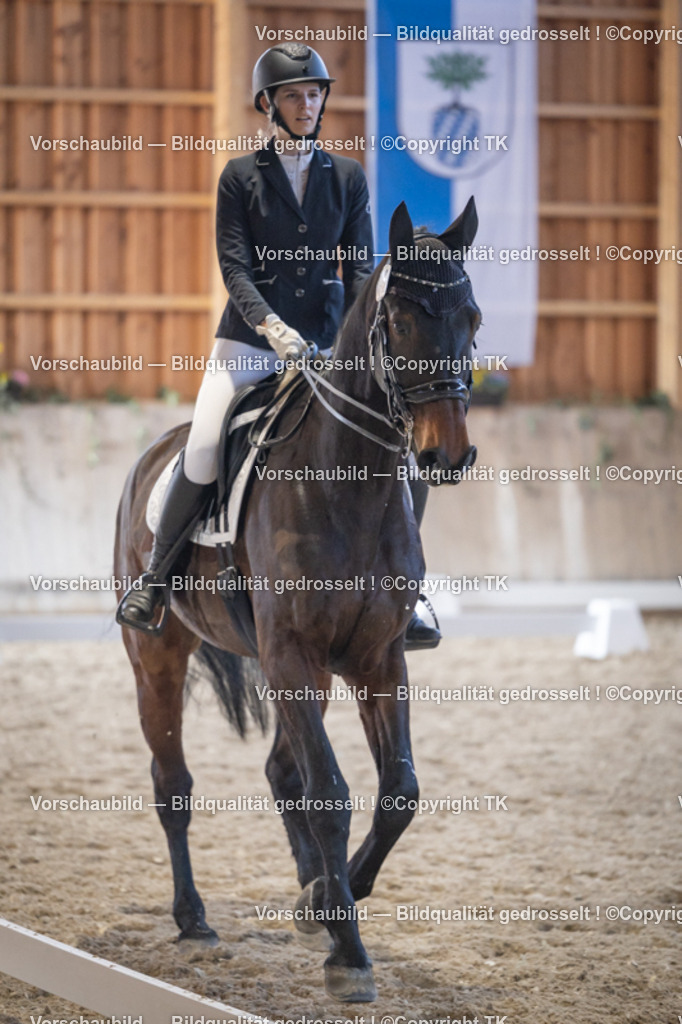 _D5A1927 | Emotionale Pferde- & People-Fotografie rund um Heidelberg, Leimen & Umgebung. Natürliche Fotos von Pferd, Mensch & Familie. Jetzt Termin sichern!