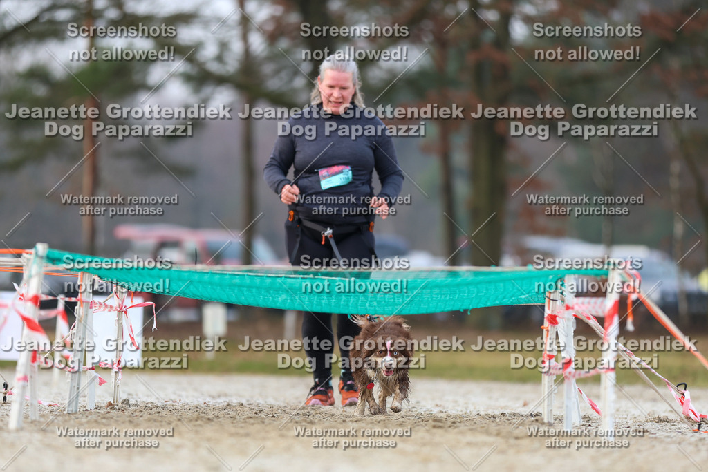 Dog Paparazzi - Strongdog North Mrz26-3755 | Dog Paparazzi Jeanette Grottendiek Fotografie & Videografie - Realisiert mit Pictrs.com