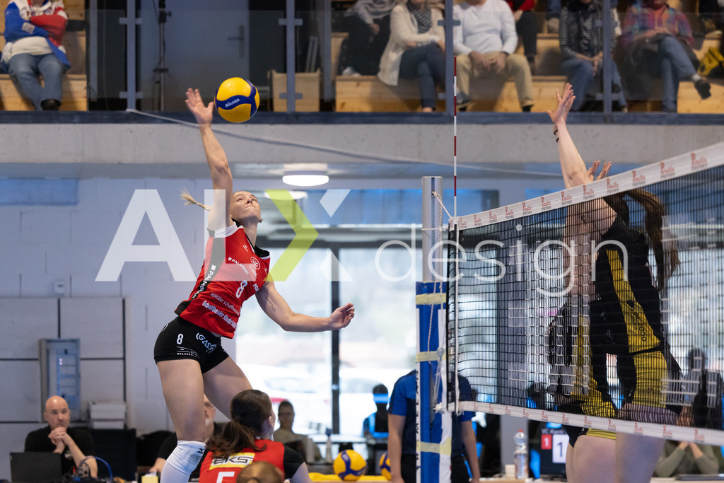 Volleyball I Frauen I Saison 2025-2026 I Volleyball NLA | Women I 1/4 Finals I  BIWI VFM - VC Kanti Schaffhausen I 01.03.2026 | 8 Lina-Marie Lieb (DE) (VC Kanti Schaffhausen) – Aussen - Realisiert mit Pictrs.com