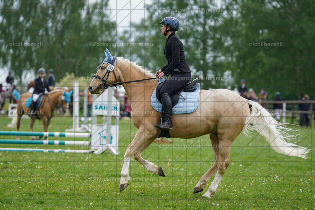 20240509-FAH02402 | Turnierbilder der Turnierfotografen Bayern, Pferdesport Fotografie, Reitsportbilder, Turnier Landberg am Lech, Turnierbilder bayern, Fotoagentur Herrmann