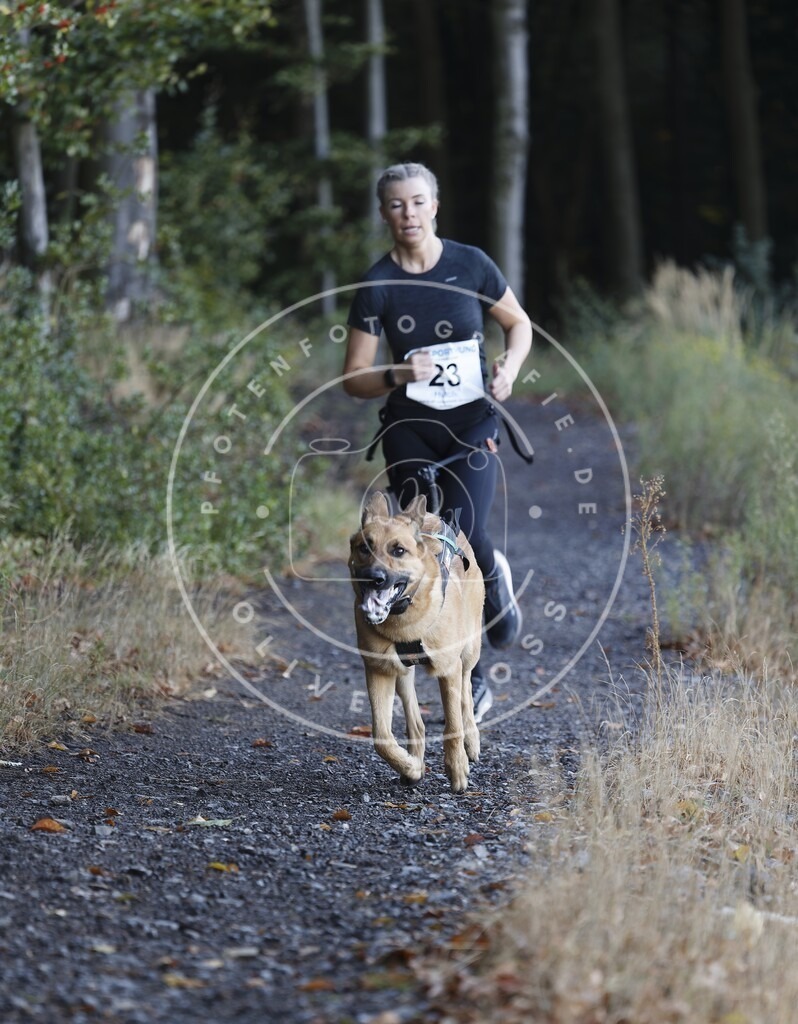 0L8A1497 | Hundefotografie, Tierfotograf, Pfotenfotografie, Fotoshooting Hund, Hunde Portrait, Hundesport, Hundeportraits, Heideshooting, Hunde, Sportfotograf, Hundefotograf, Turnierhundsport, THS,  - Realisiert mit Pictrs.com