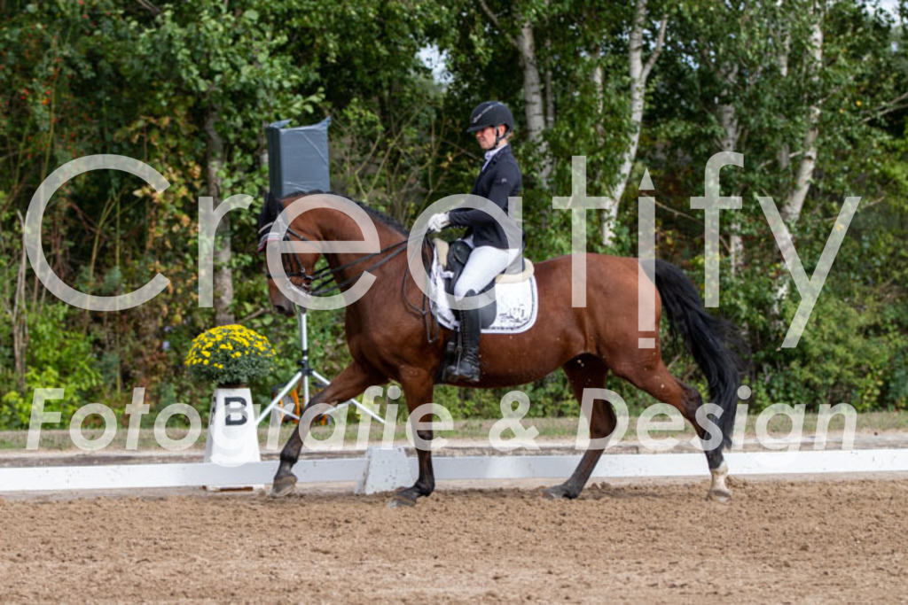 IMG_5367 | Creatify Fotografie