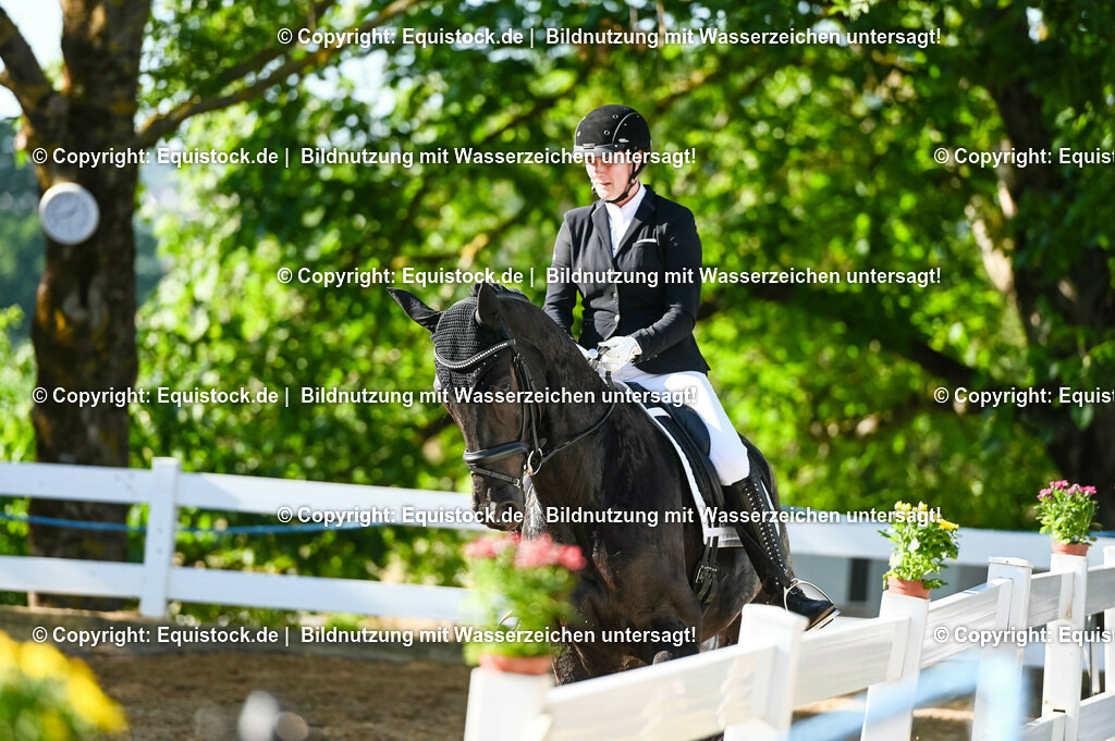 20230715_06_Dressurpferdeprfg. Kl.A_0012 | equistock
