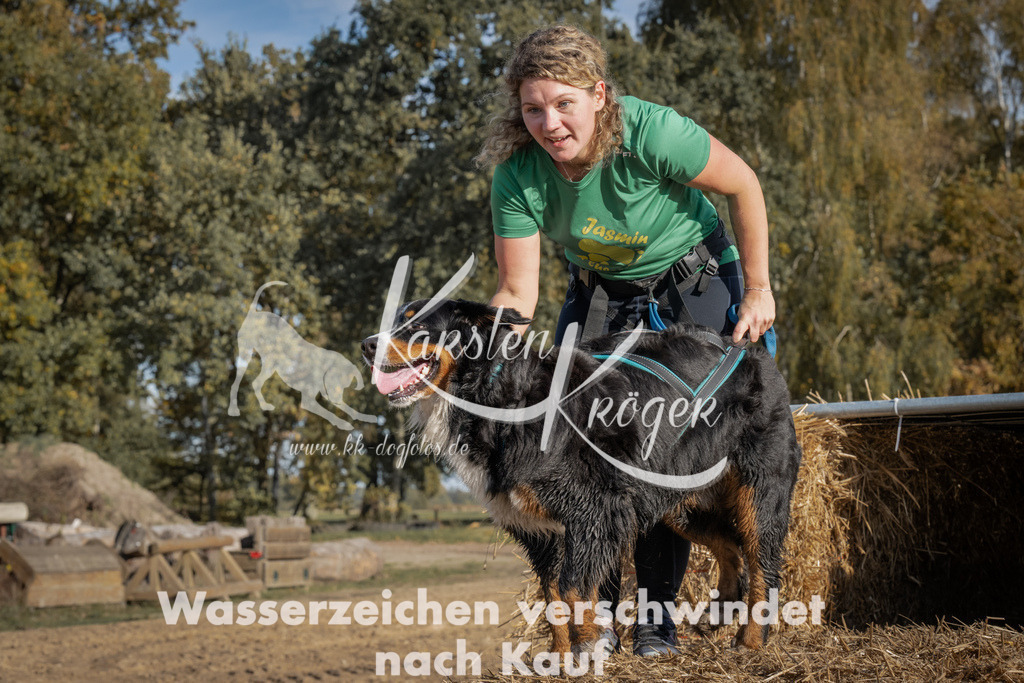 1055_ZZ99634 | kk-dogfotos