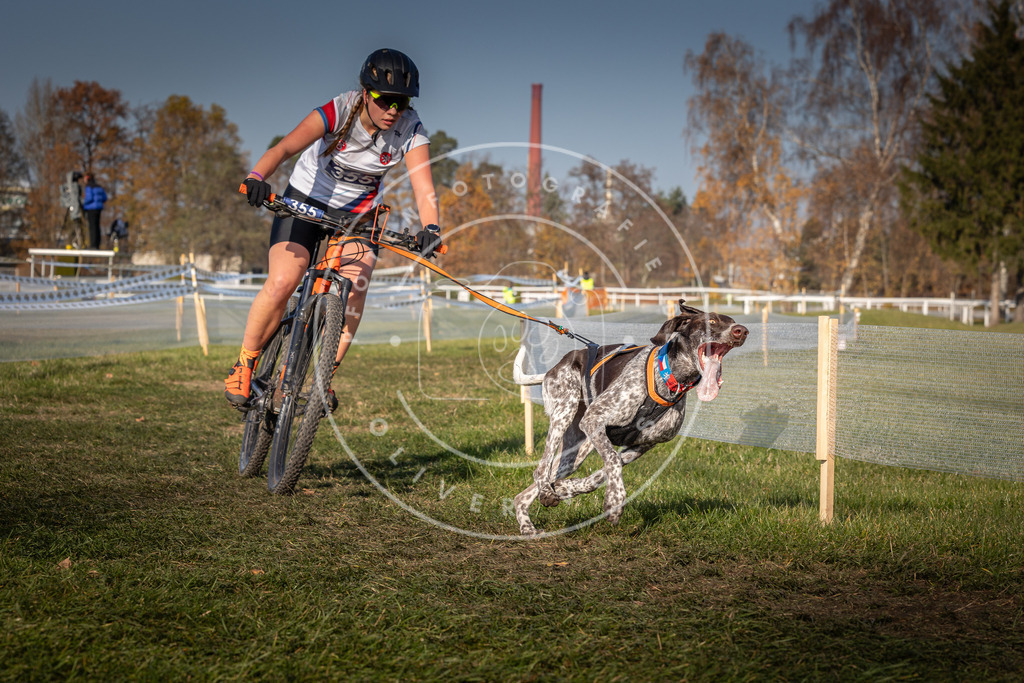 CaniXpix_0L8A6890 | Hundefotografie, Tierfotograf, Pfotenfotografie, Fotoshooting Hund, Hunde Portrait, Hundesport, Hundeportraits, Heideshooting, Hunde, Sportfotograf, Hundefotograf, Turnierhundsport, THS,  - Realisiert mit Pictrs.com
