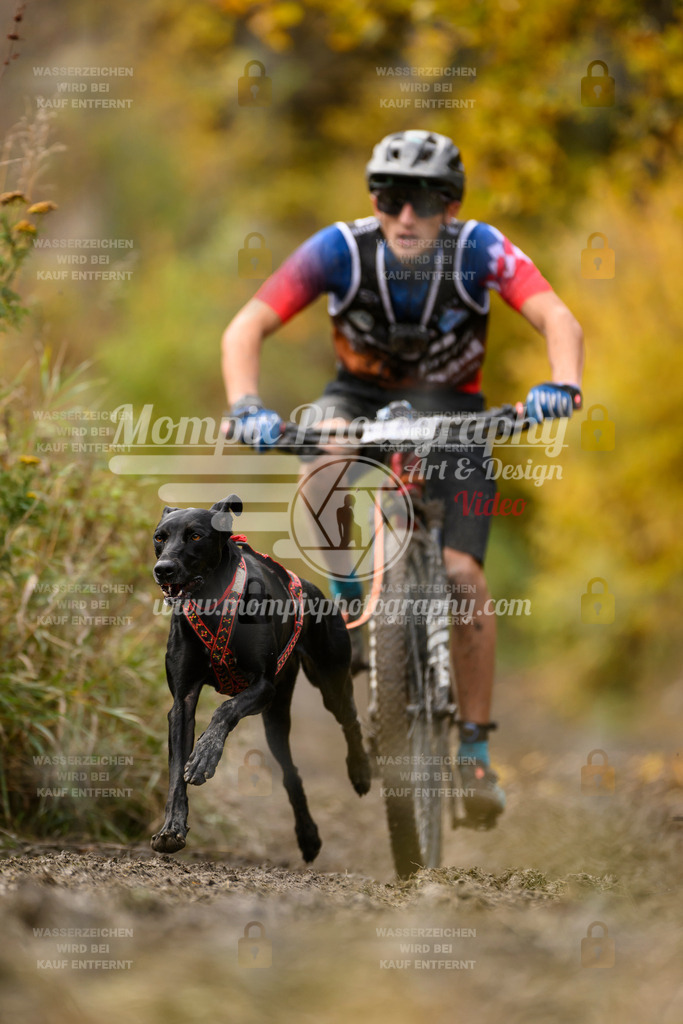 MompixPhotography_ICF_WC_2024_SA_Bike_-377 | PayLife