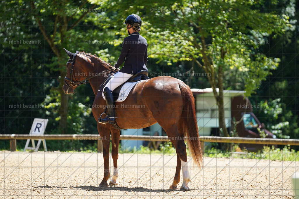 20240705-FAH03788 | Turnierbilder von Grafing, Reitsportbilder, Turnierfotos, Turnierfotografen Bayern, Pferdefotograf, Fotoagentur Herrmann