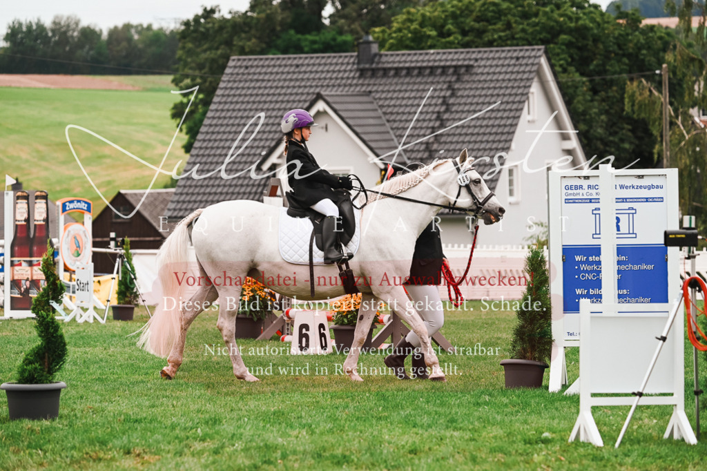DSC_7368 | Pferde- und Turnierfotografie in Westsachsen. Pferdeportraits, Auftragszeichnungen und intuitive Kunst.