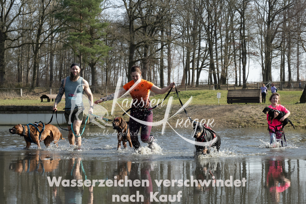 1337_ZZ97515 | kk-dogfotos