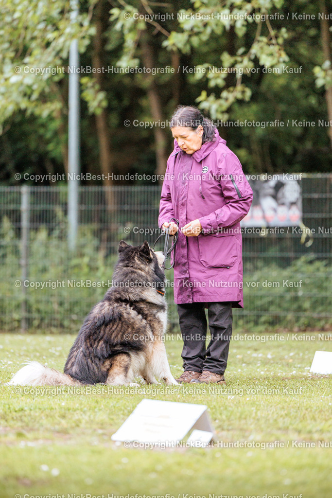 RO-Blumenthal-2026-Nickbest-Hundefotografie-0808 | Dein Hund! Dein Moment! Deine Erinnerungen! Hundefotografie in Bremen Blumenthal. Ich fange die besonderen Momente deines Vierbeiners ein – ob Indoor mit Blitzanlage oder in der freien Natur. Sicher dir dein Moment und dein Termin für eure Erinnerungen.