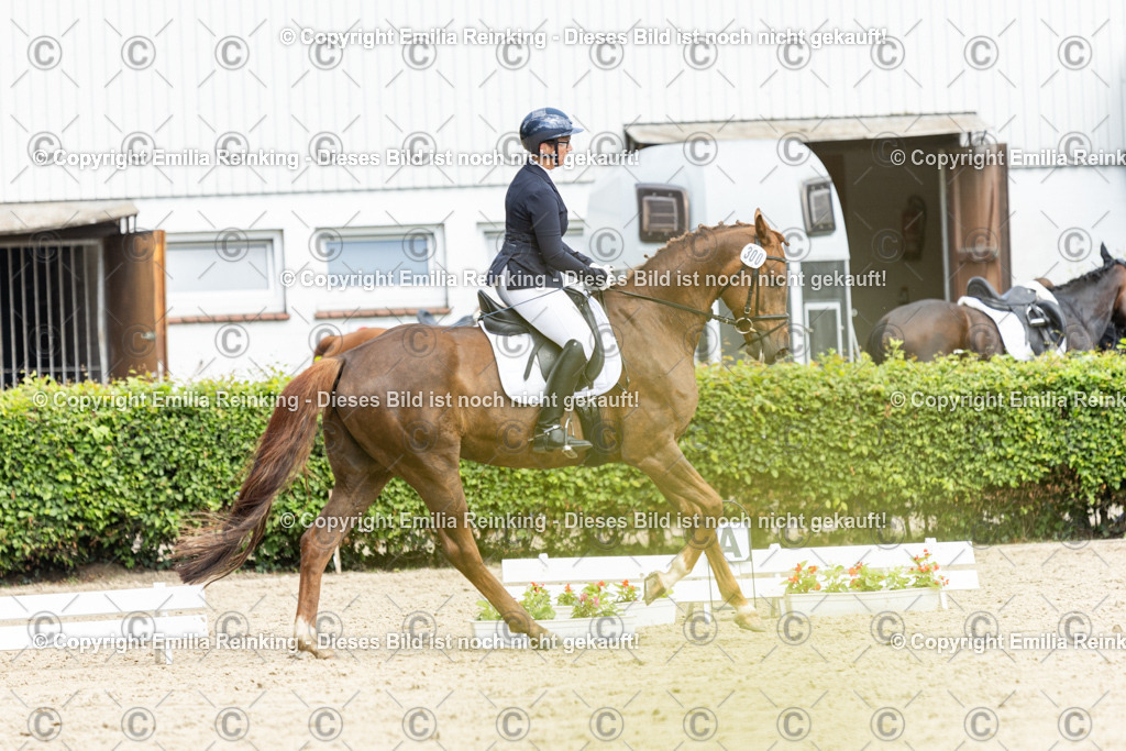 CL5A4981-2 | Emilia Reinking Fotografie - Realisiert mit Pictrs.com