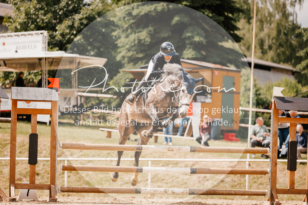 3I6A2371 | Stimmungsvolle Portraits und Reitsportfotografie im Ruhrgebiet und im Münsterland.

Pferdefotografie, Hundefotografie, Tierfotografie, Reportagen, Portraits von Tier und Mensch, Turnierfotografie in Bochum, Recklinghausen, Marl, Haltern am See, Dülmen.. - Realisiert mit Pictrs.com