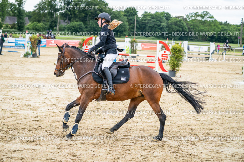 DSC05521 | Pferdegrafie